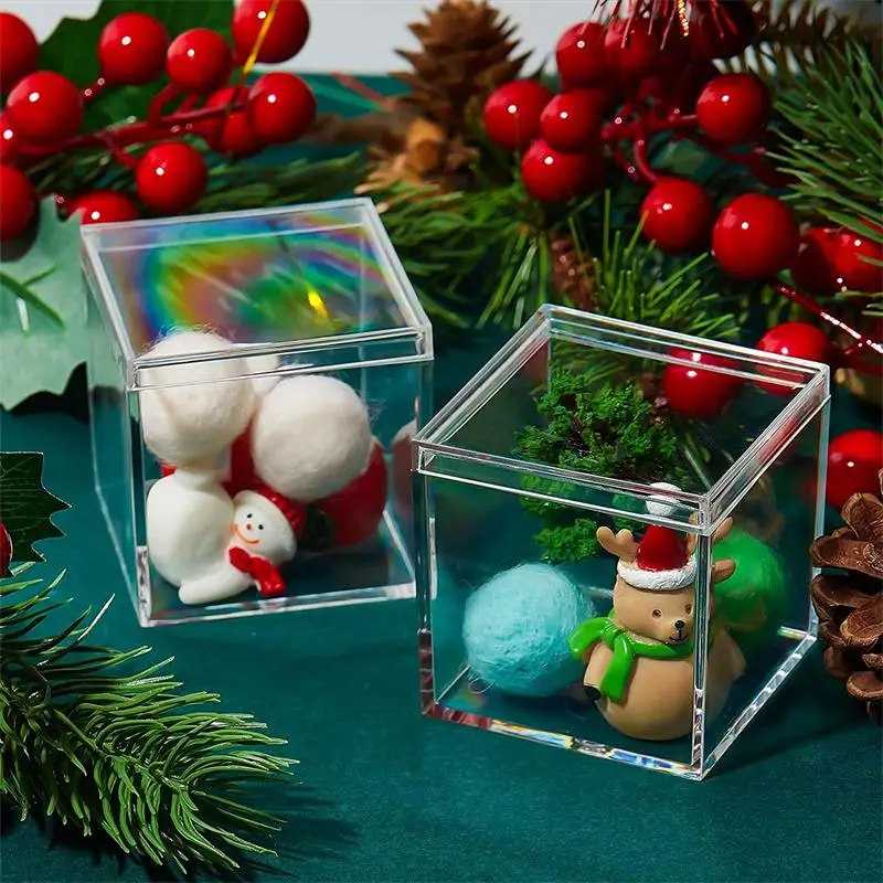 12 PCS Transparent Acrylic Box - Food Storage No Plastic recension och pris