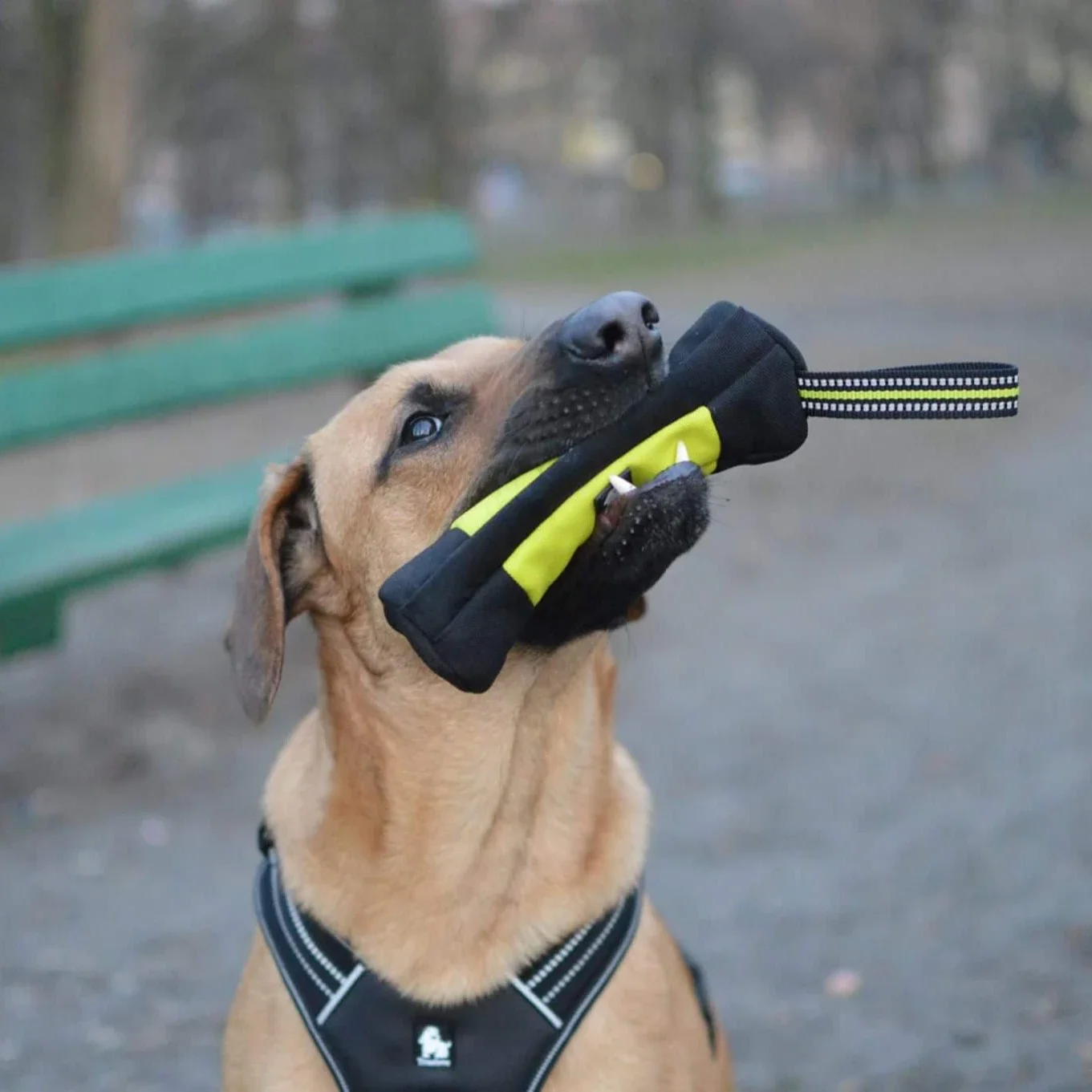 Truelove Dog Training Retrieve - Food Storage No Plastic recension och pris